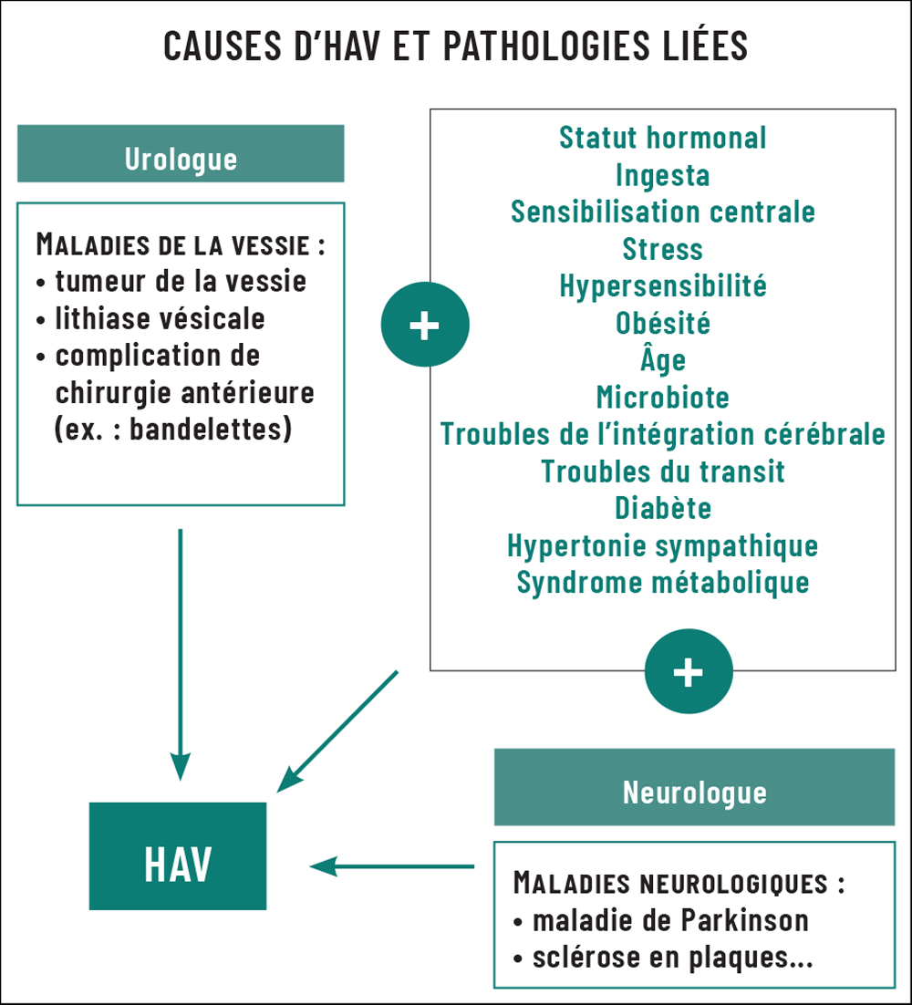 Causes d'HAV et pathologies liées