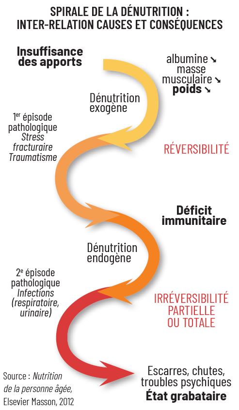 spirale de la dénutrition : inter-relation causes et conséquences