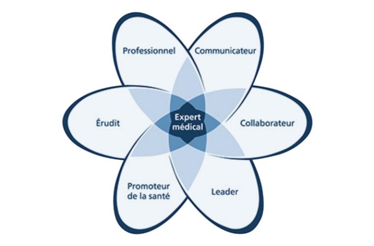 "Patient-centered" dès la formation initiale ?