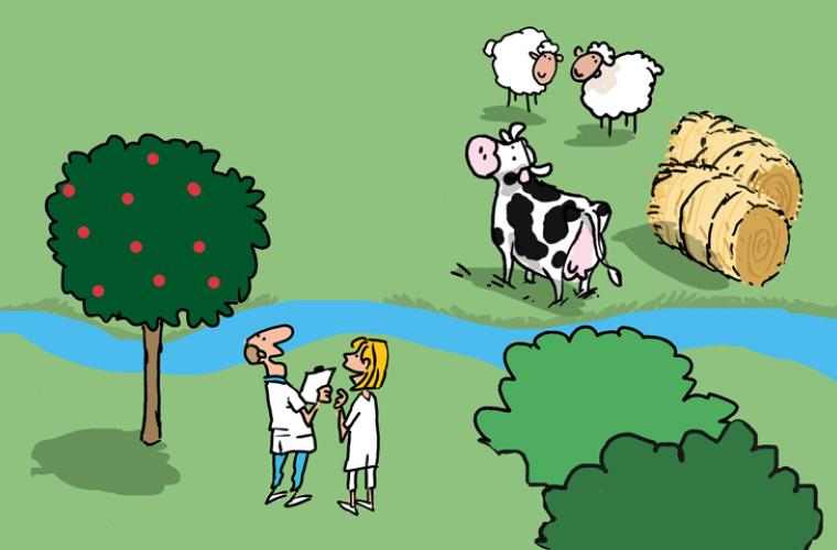 Comment s'inventer (ou se réinventer) pour attirer des professionnels ?