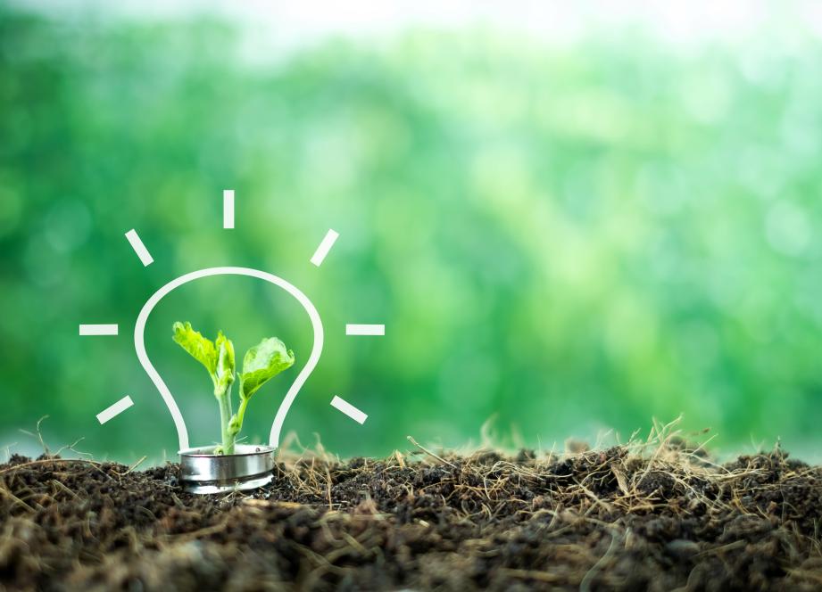 En Grand Est, les maisons de santé réaffirment leur engagement dans la santé environnementale