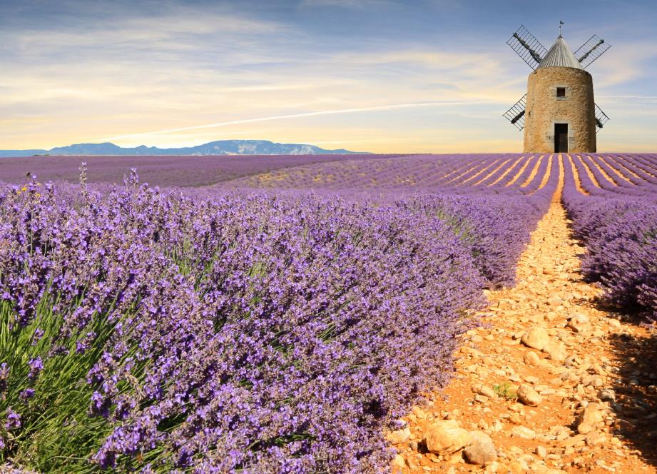Des sites naturels "réputés" et "300 jours de soleil par an" : le Vaucluse veut attirer des médecins salariés