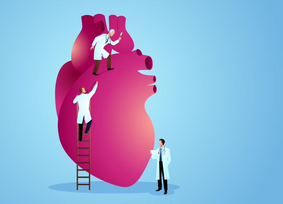 La cellule d'expertise et de coordination "permet un travail d'équipe au plus haut niveau"