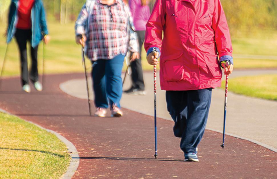 Activité physique adaptée (APA)