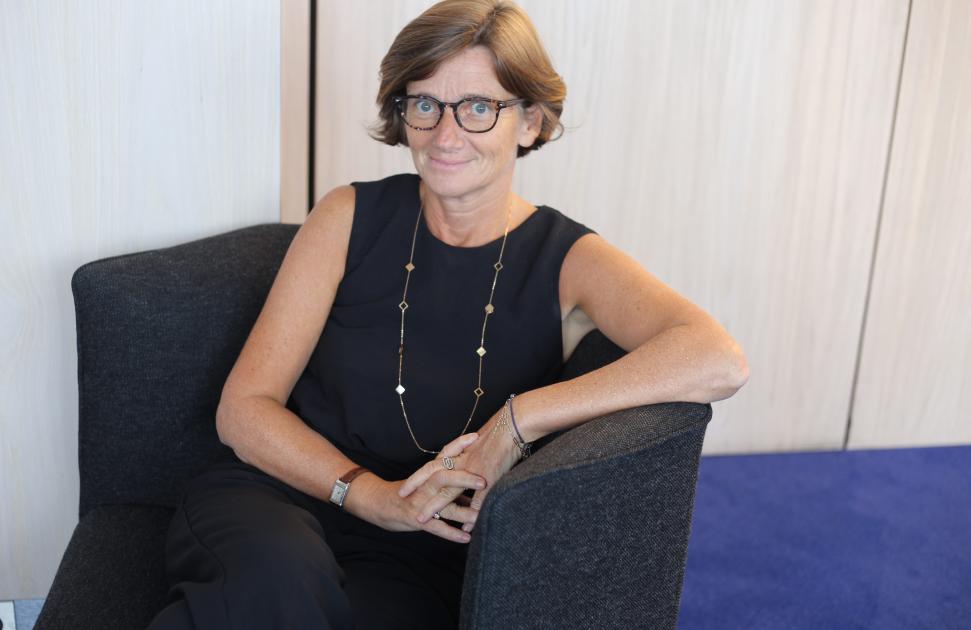 Agnès Firmin Le Bodo