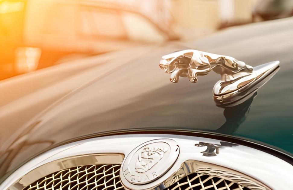 Les élus ont découvert des notes de frais s’élevant à plus de 285 000 euros