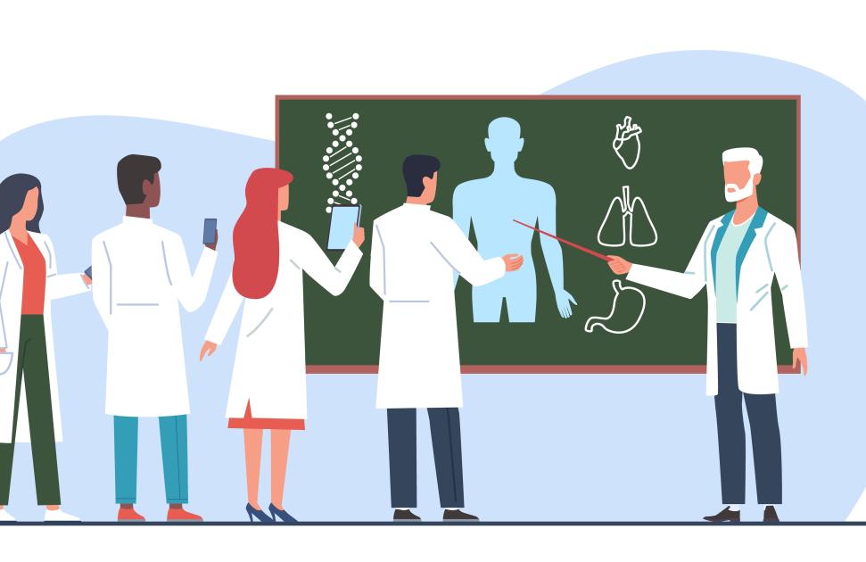 IPA : 47 % des étudiantes rencontrent des difficultés pour obtenir un stage selon une enquête de l’UNIPA