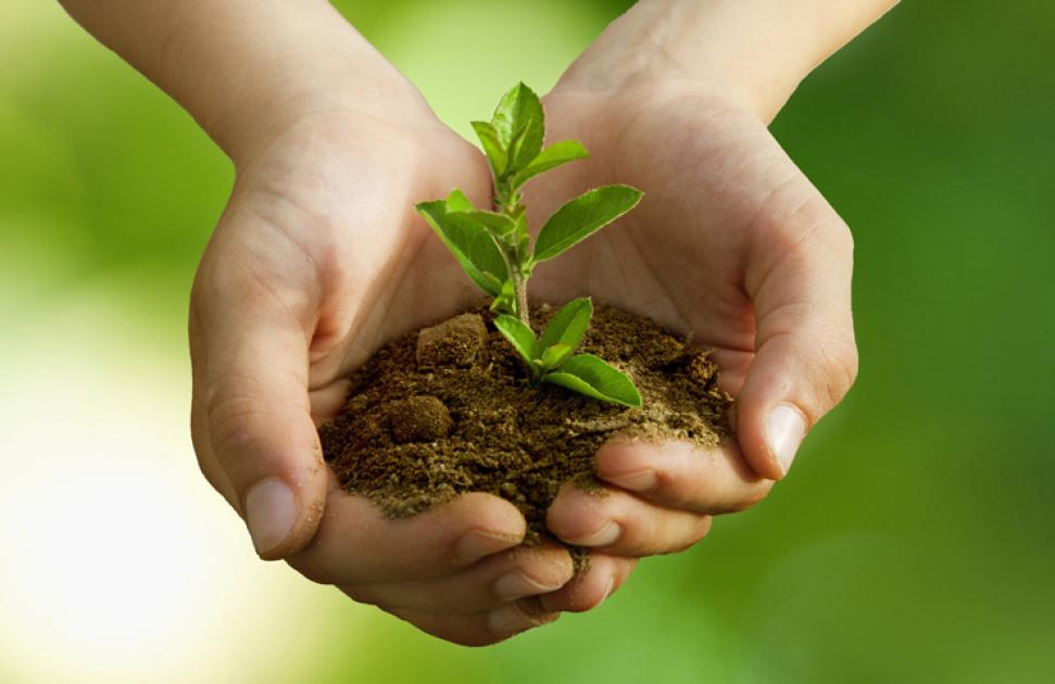 Santé humaine et planétaire, même combat