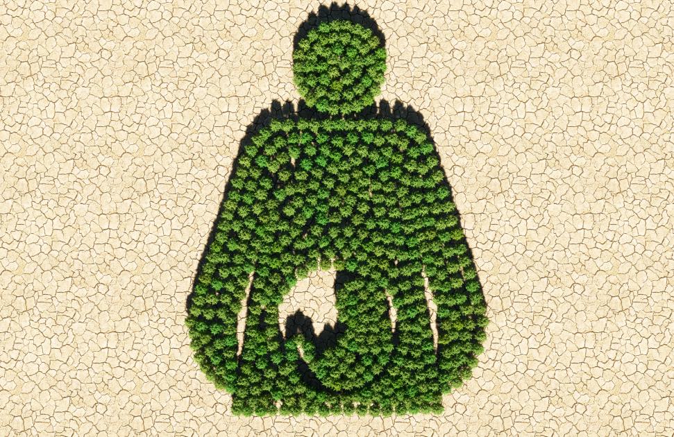 Santé environnementale : des maternités bretonnes veulent "une culture commune"