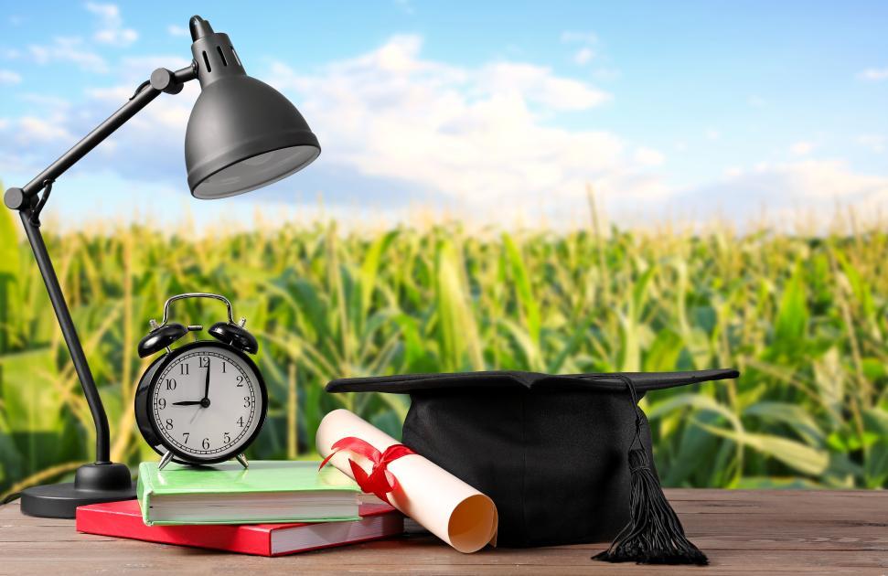 "Une première brique pour aider le territoire" : n lycée développe une « option santé » pour inciter les professionnels de demain