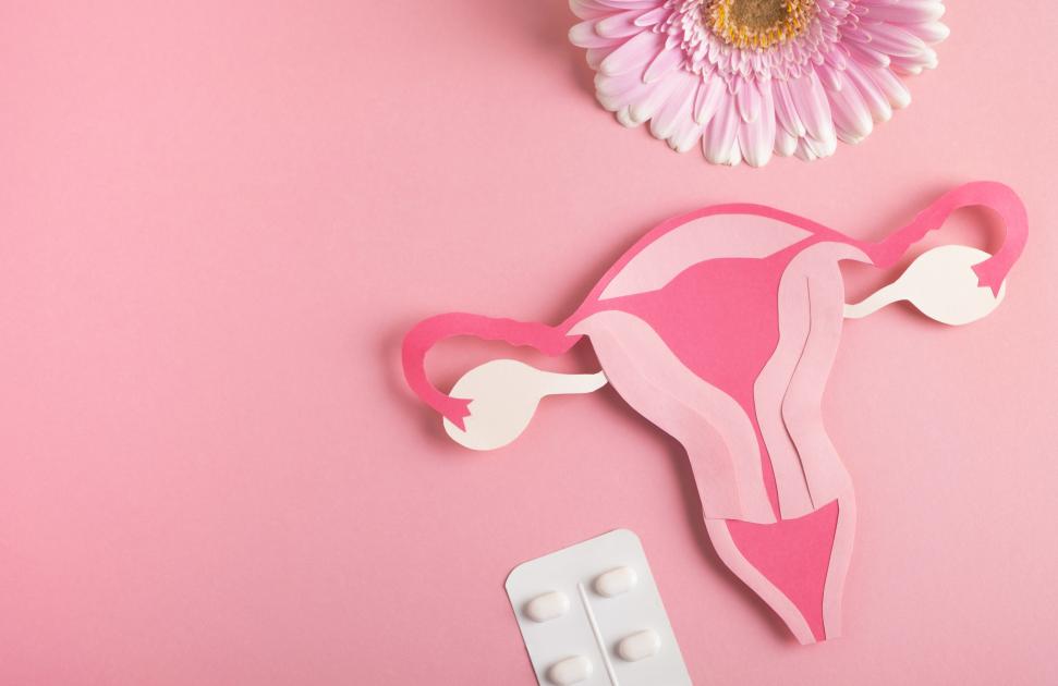 Pour informer et accompagner les patientes atteintes de cancers gynécologiques, "Cocon" lance sa 5ème édition