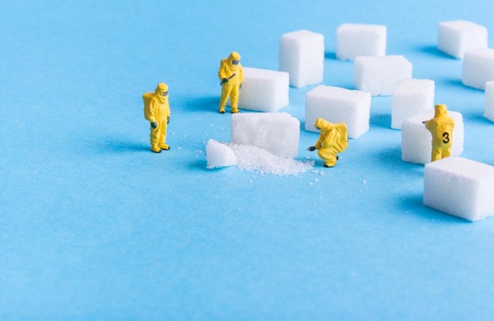 "Le principe d'un dispositif régional est de savoir s'adapter aux besoins spécifiques du territoire"