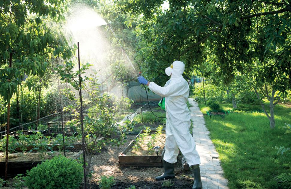Maladies professionnelles : l'impact de l'exposition aux pesticides