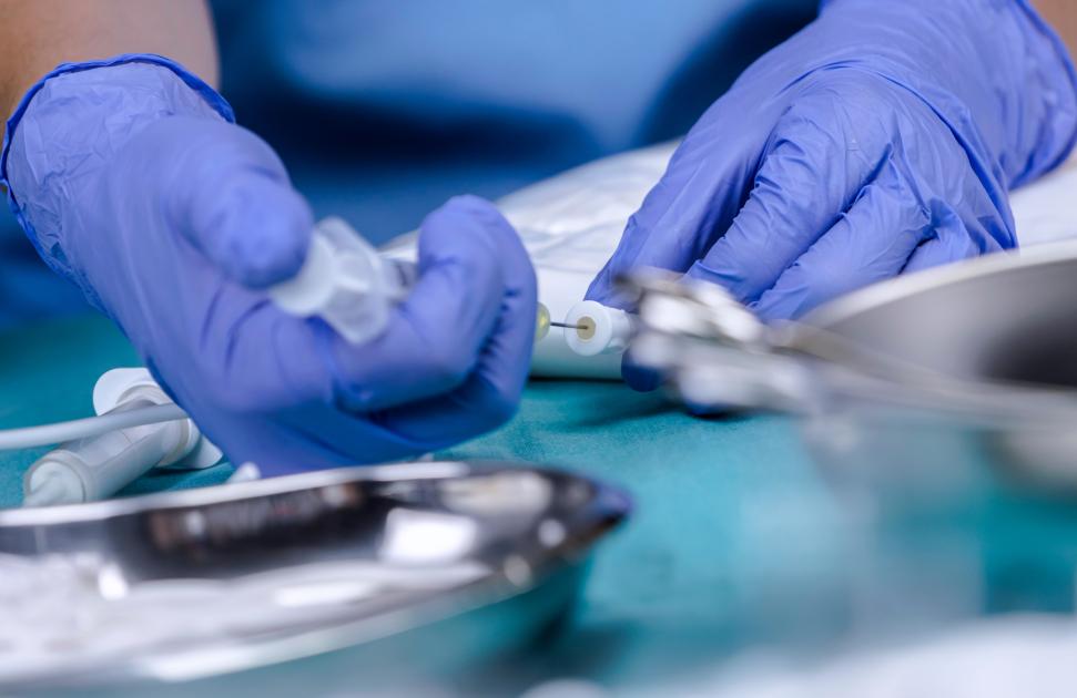 La Vie par un fil : quand se nourrir devient insuffisant ou impossible...