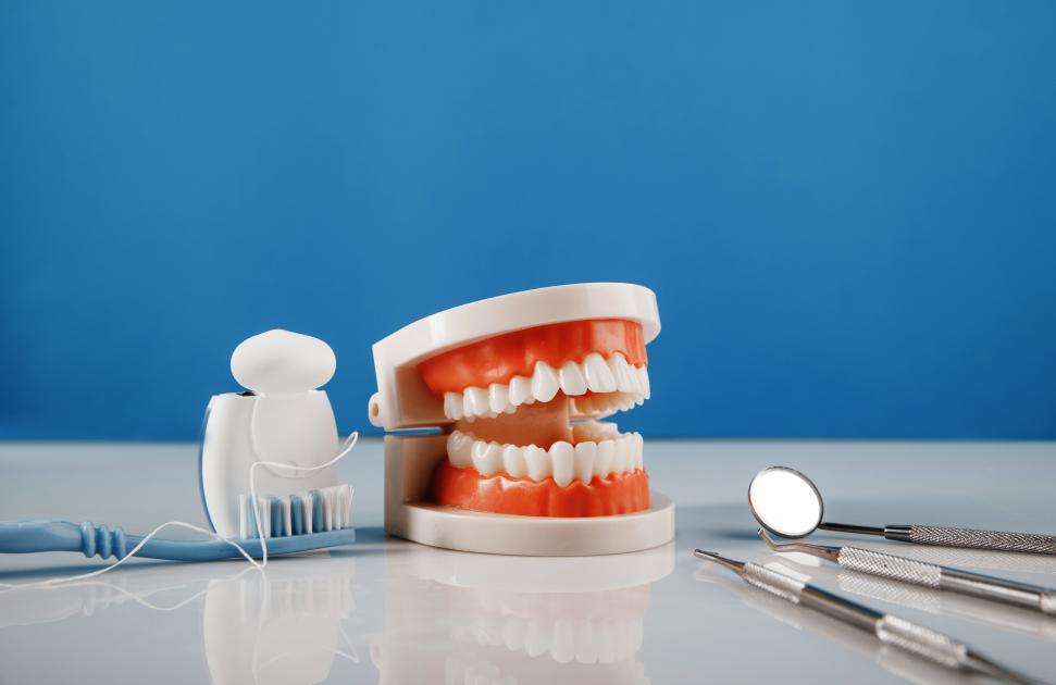 "Amener le soin dentaire au plus près des patients dépendants" : déployé dès janvier 2026, l'article 51 Dentistadom accompagne les chirurgiens-dentistes au chevet des patients