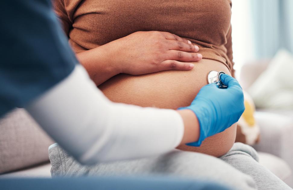 Actualisé et complété, le nouveau carnet de santé de maternité sera disponible dès le 1er mars