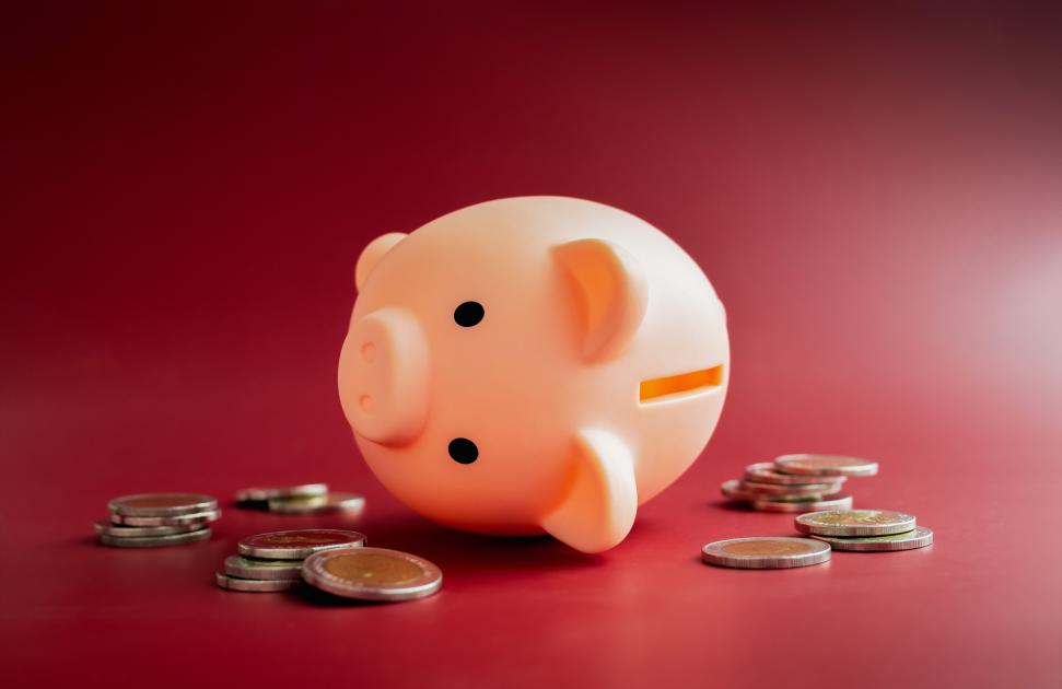 L’association Asalée contrainte de déclarer la cessation de paiement faute de financements