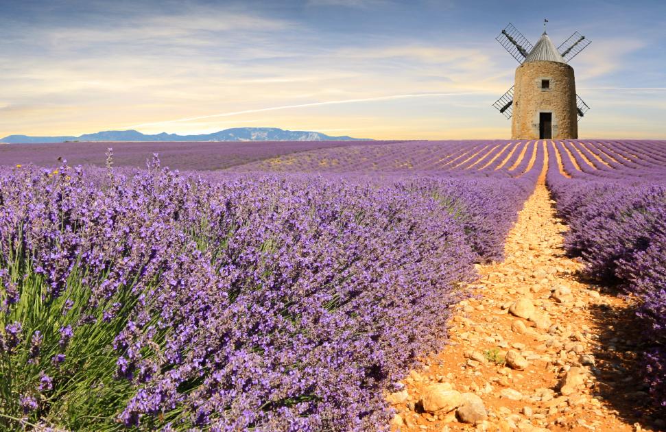 Des sites naturels "réputés" et "300 jours de soleil par an" : le Vaucluse veut attirer des médecins salariés