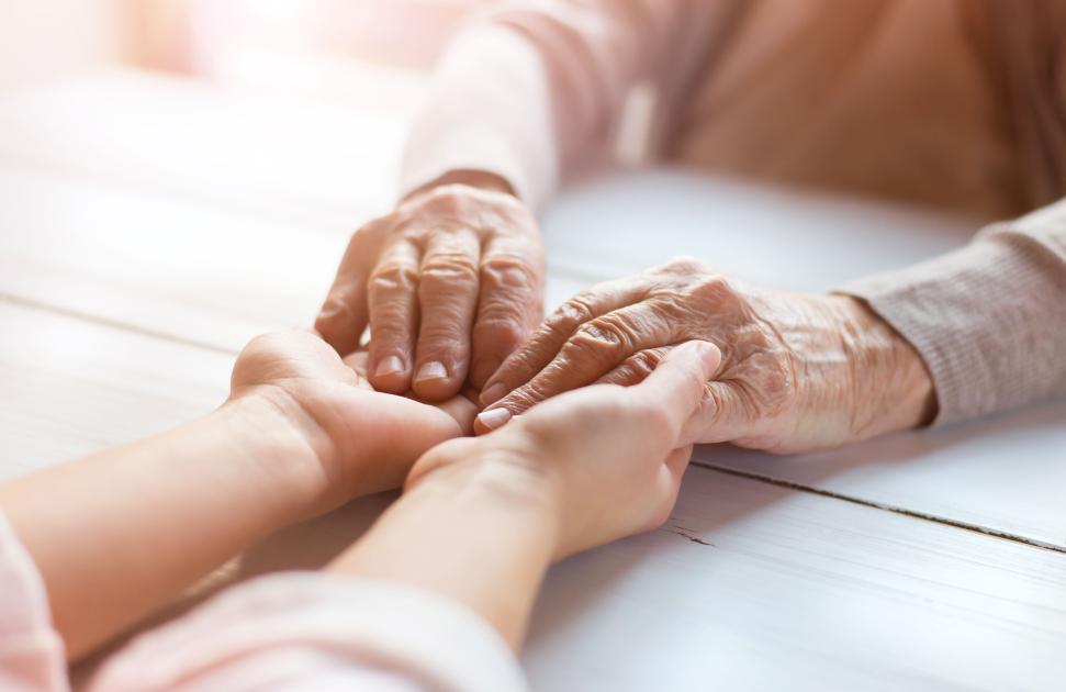 En Haute-Vienne, un dispositif porté par un centre associatif et le DAC permet de prendre le relais des aidants en difficulté