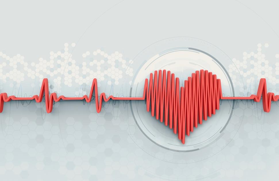 Maladies cardio-neuro-vasculaires : la PPL de Neuder adoptée à l'unanimité