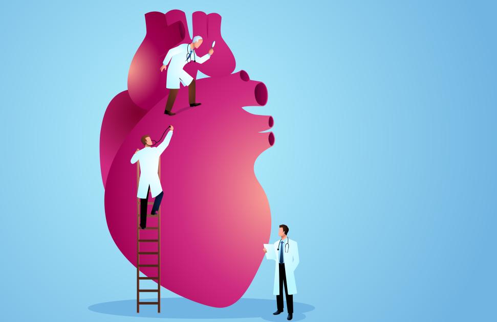 La cellule d'expertise et de coordination "permet un travail d'équipe au plus haut niveau"