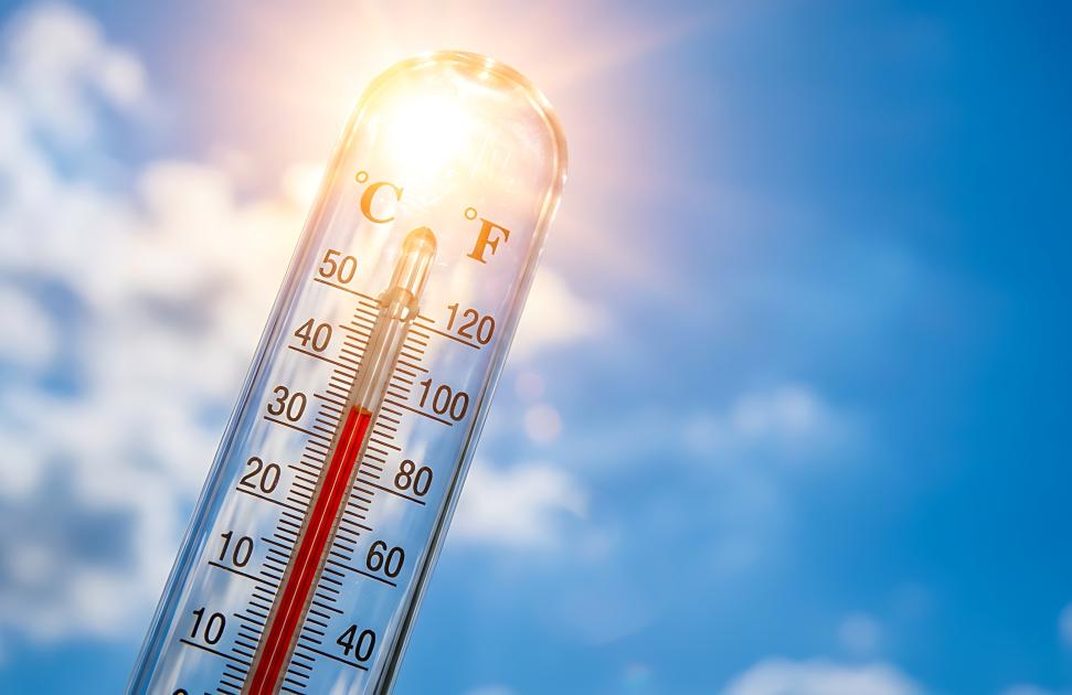 Canicule : de la Bretagne aux Pays de la Loire, les CPTS conseillent sur "les bons gestes"