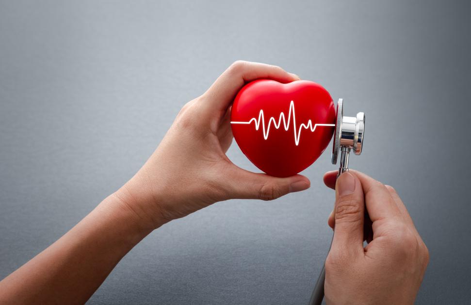 Maladies cardio-neuro-vasculaires : la proposition de loi Neuder de retour à l'Assemblée