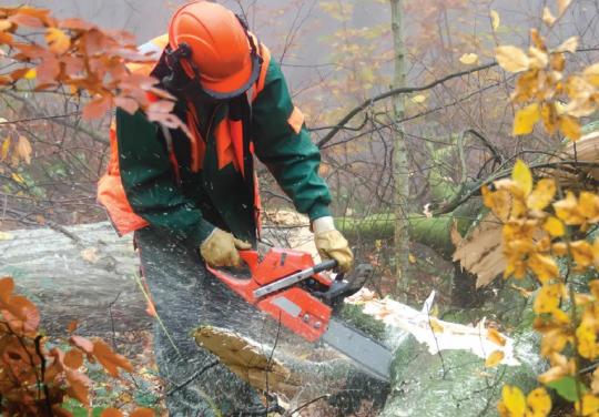 Protéger les travailleurs contre les morsures de tiques