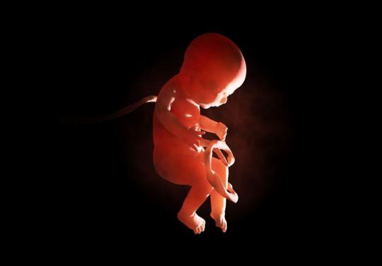 Association nationale spina bifida et handicaps associés