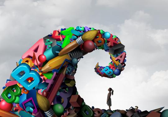 TSLA dyslexie formation DU troubles de l'apprentissage