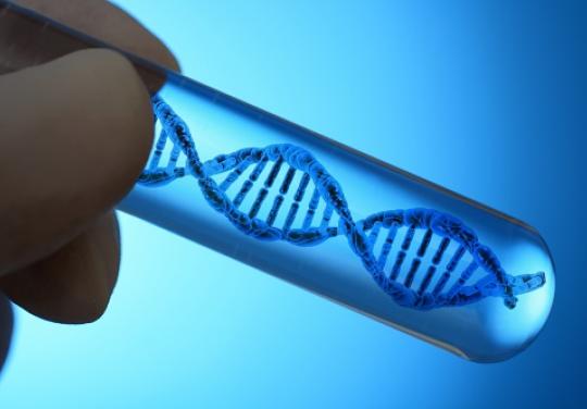 gene