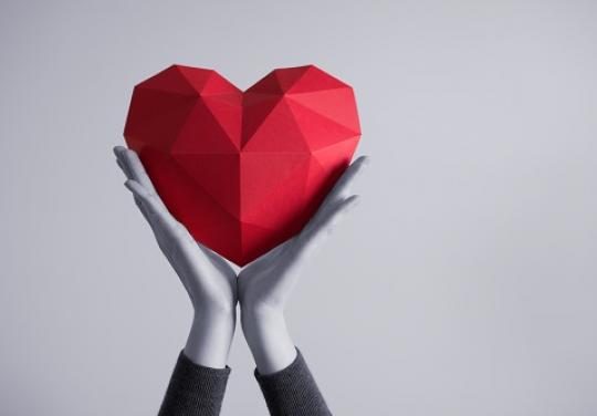 Parcours des insuffisants cardiaques sévères : l’AP-HP a inclus son 500e patient