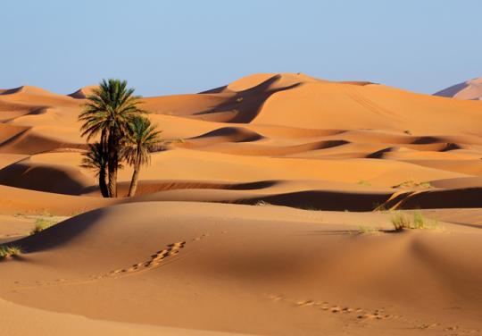 Territoires et déserts médicaux
