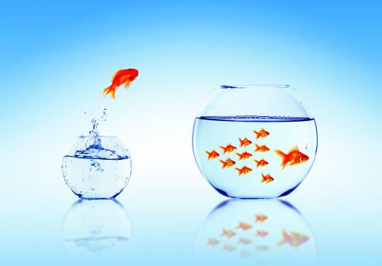 poisson