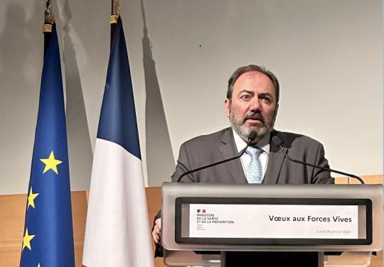 braun