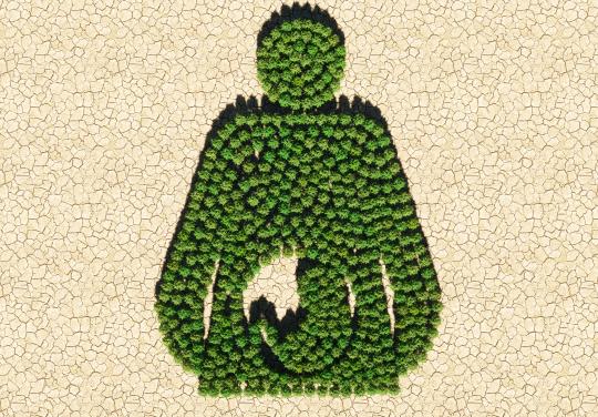 Santé environnementale : des maternités bretonnes veulent "une culture commune"