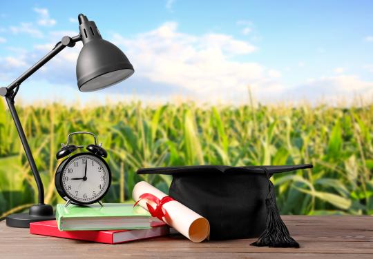 CPTS et 4e année de médecine générale : un deal gagnant-gagnant ?