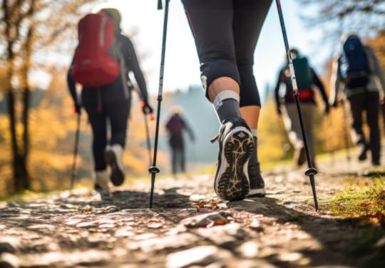 "Sortir les professionnels de leurs cabinets" : la CPTS du Châtelleraudais met ses soignants au sport santé