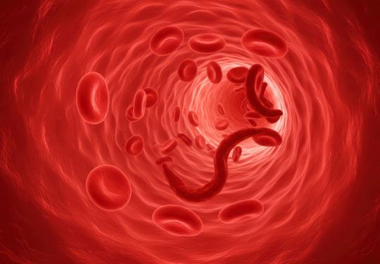 Drep'info, un centre d'information et de dépistage au sein d'une MSP