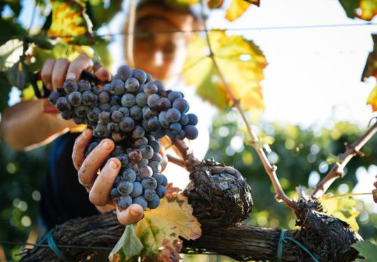 Quel suivi de santé pour les travailleurs saisonniers ?