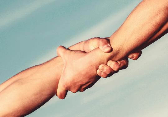 "On ne va pas les lâcher" : en Pays de la Loire, l’accompagnement à la démarche participative a impulsé une dynamique durable