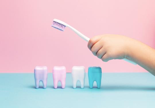 Soins dentaires, suivi préventif, M'T dents… l'URPS Chirurgiens-Dentistes des Pays de la Loire fait le bilan