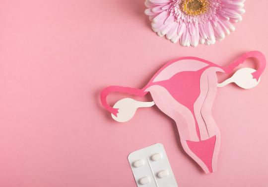 Pour informer et accompagner les patientes atteintes de cancers gynécologiques, "Cocon" lance sa 5ème édition