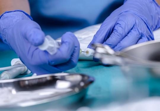 La Vie par un fil : quand se nourrir devient insuffisant ou impossible...