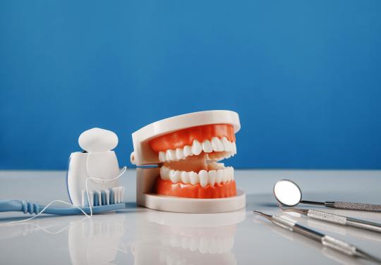 "Amener le soin dentaire au plus près des patients dépendants" : déployé dès janvier 2026, l'article 51 Dentistadom accompagne les chirurgiens-dentistes au chevet des patients