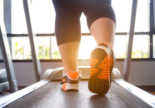 Obésité : des équipes mobilisées