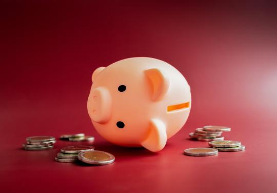 L’association Asalée contrainte de déclarer la cessation de paiement faute de financements