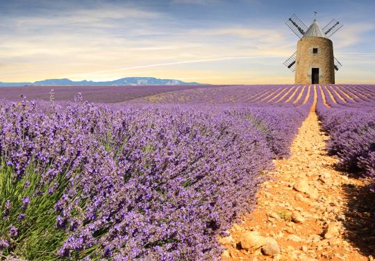 Des sites naturels "réputés" et "300 jours de soleil par an" : le Vaucluse veut attirer des médecins salariés
