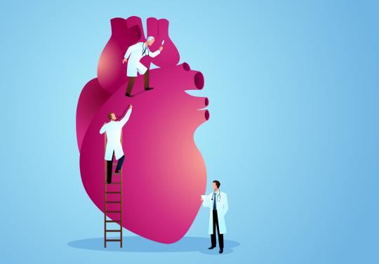La cellule d'expertise et de coordination "permet un travail d'équipe au plus haut niveau"