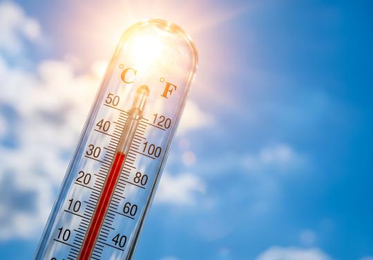 Canicule : de la Bretagne aux Pays de la Loire, les CPTS conseillent sur "les bons gestes"